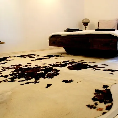 Mansion Josephina Rum i privatbostad *