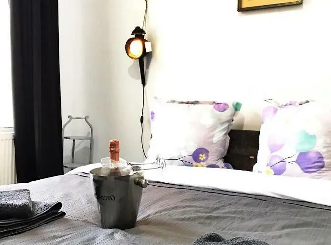 Mansion Josephina Habitación en casa particular Cluj-Napoca